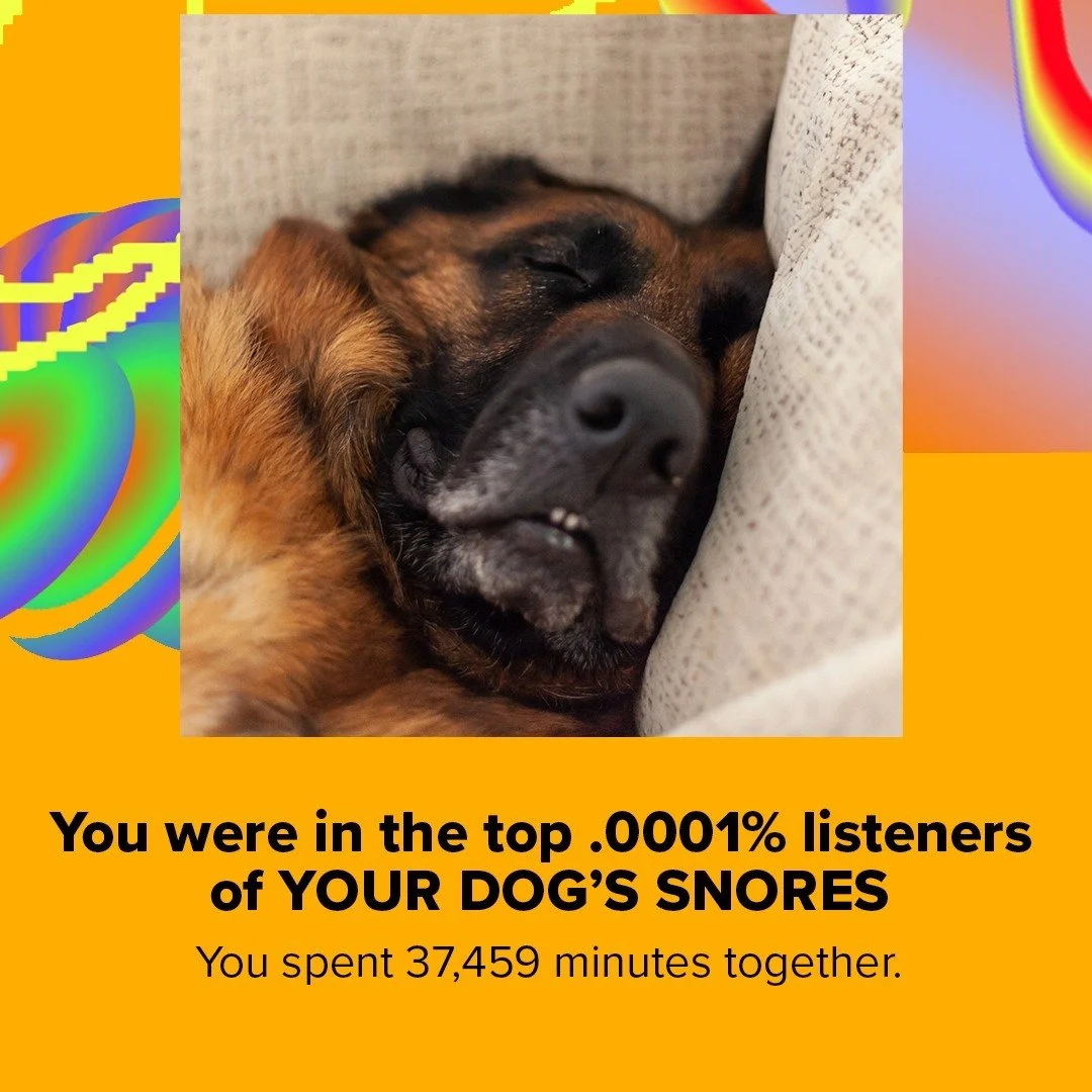 405225858_1413301069381030_8213188338855487308_n.jpg