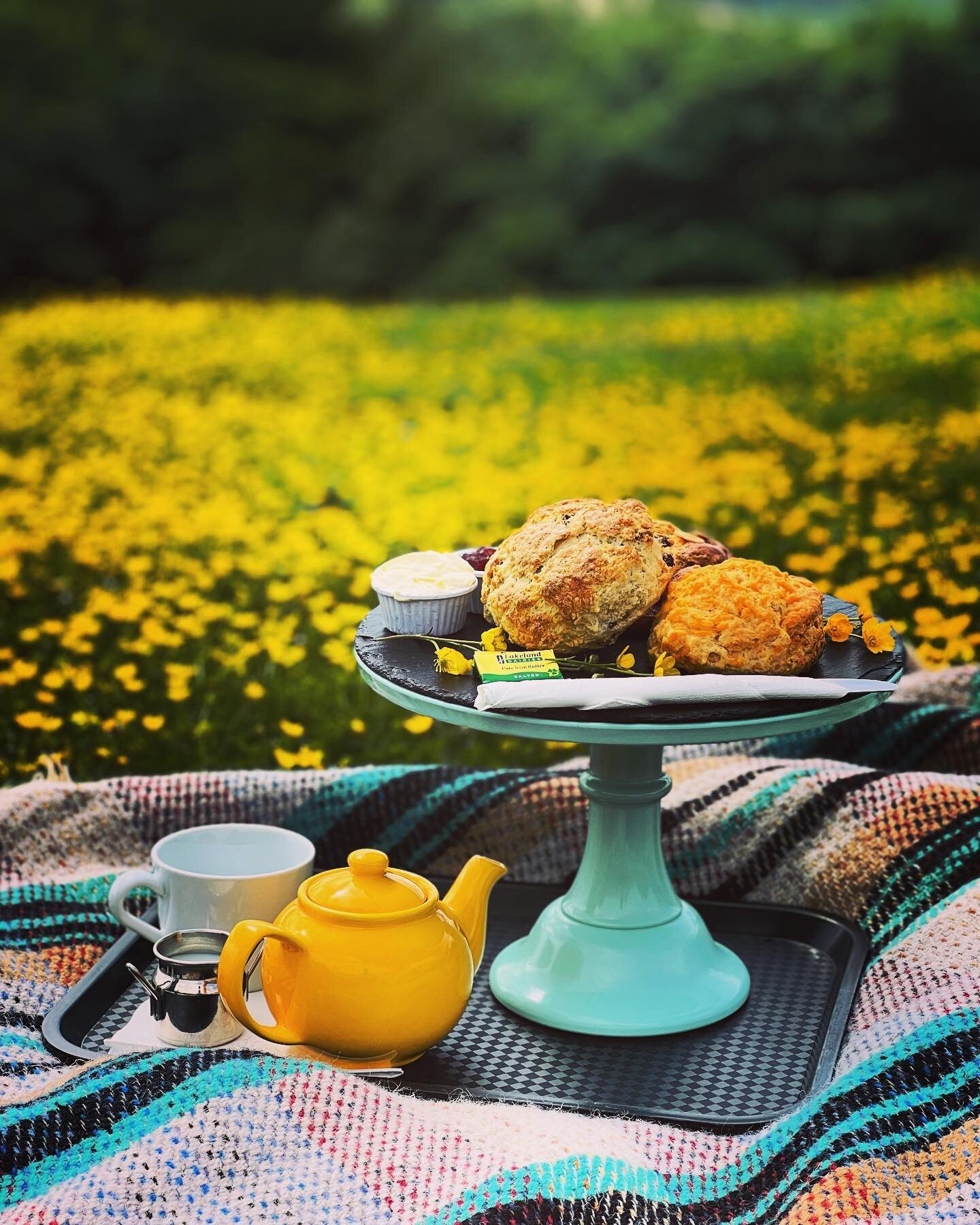 Why not come and enjoy a choice of scones up at the hub today?&hellip; We have Cheese, Fruit or Cherry and almond to offer! Delicious with a cup of tea! Make sure you hurry before they&rsquo;re scone. 🙂🐝🌼🌻☀️ #yorkshire #scones #buttercup #summer 