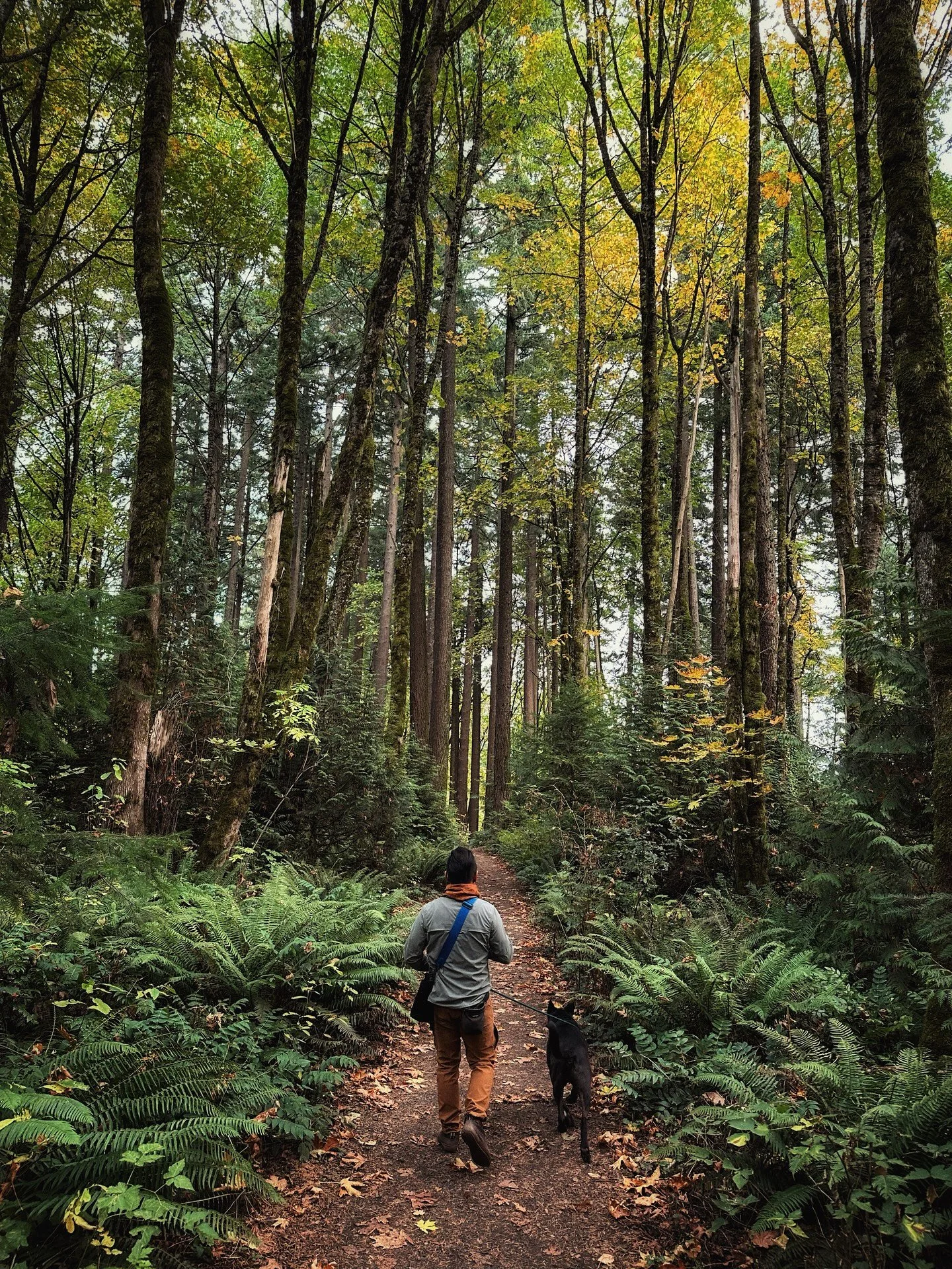 Autumn 🍁🍂 walk in the park with Karen and Onyx. Slowing down to enjoy the colors of the season.