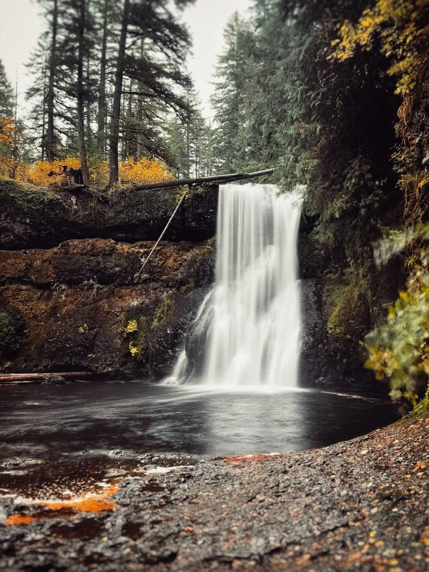 Autumn 🍂 vignettes 
#birthday #hike #pnw #silverfalls #dontgochasingwaterfalls #waterfalls