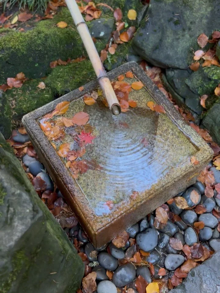 Happy November! Remember to take the time to pause&hellip; slow down&hellip; and savor the moment. There is wisdom in reflection and joy when you stay present. 

#autumn #fall #impermanence #beherenow #yoga #mindfulness #japanesegarden #slowlife