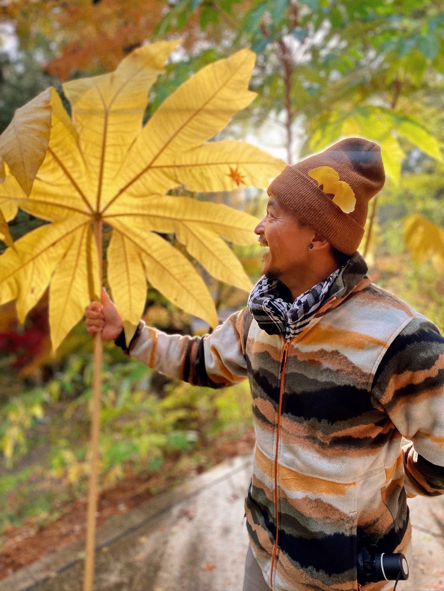 Hello sweet November. Here I am still flowing on this wild river of life. This week I&rsquo;m talking about the theme of surrender in my yoga classes. This isn&rsquo;t about giving up, but rather releasing resistance or control while staying grounded