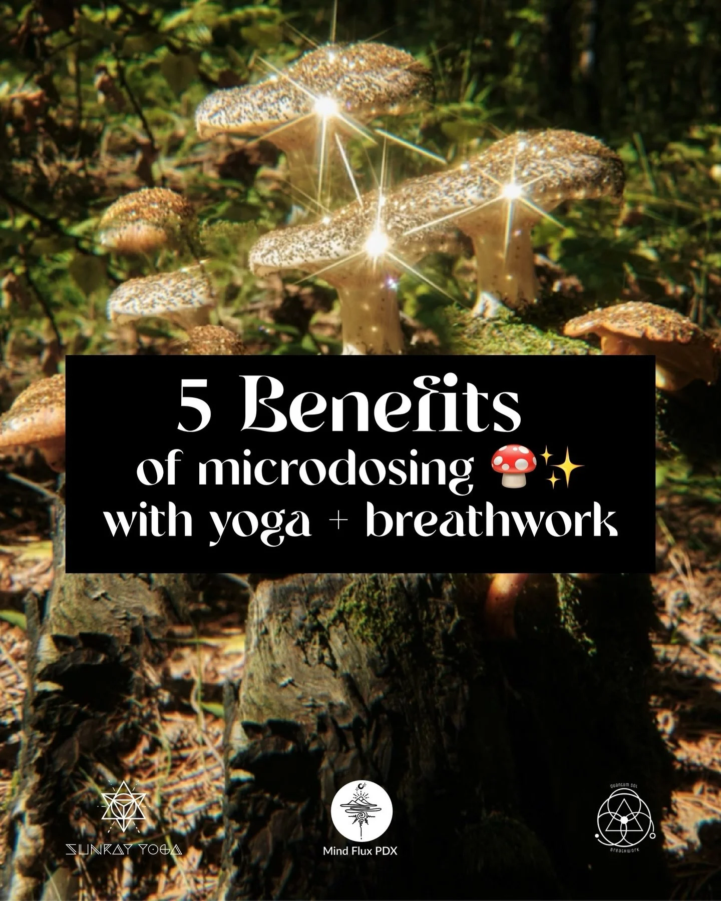 🚀 Are you ready to kick start your journey in 2026? Join us for a gently held session that weaves together the transformative potential of&nbsp;psi|ocybin&nbsp;with the grounding practices of&nbsp;breathwork, yoga, meditation, and sound healing. The