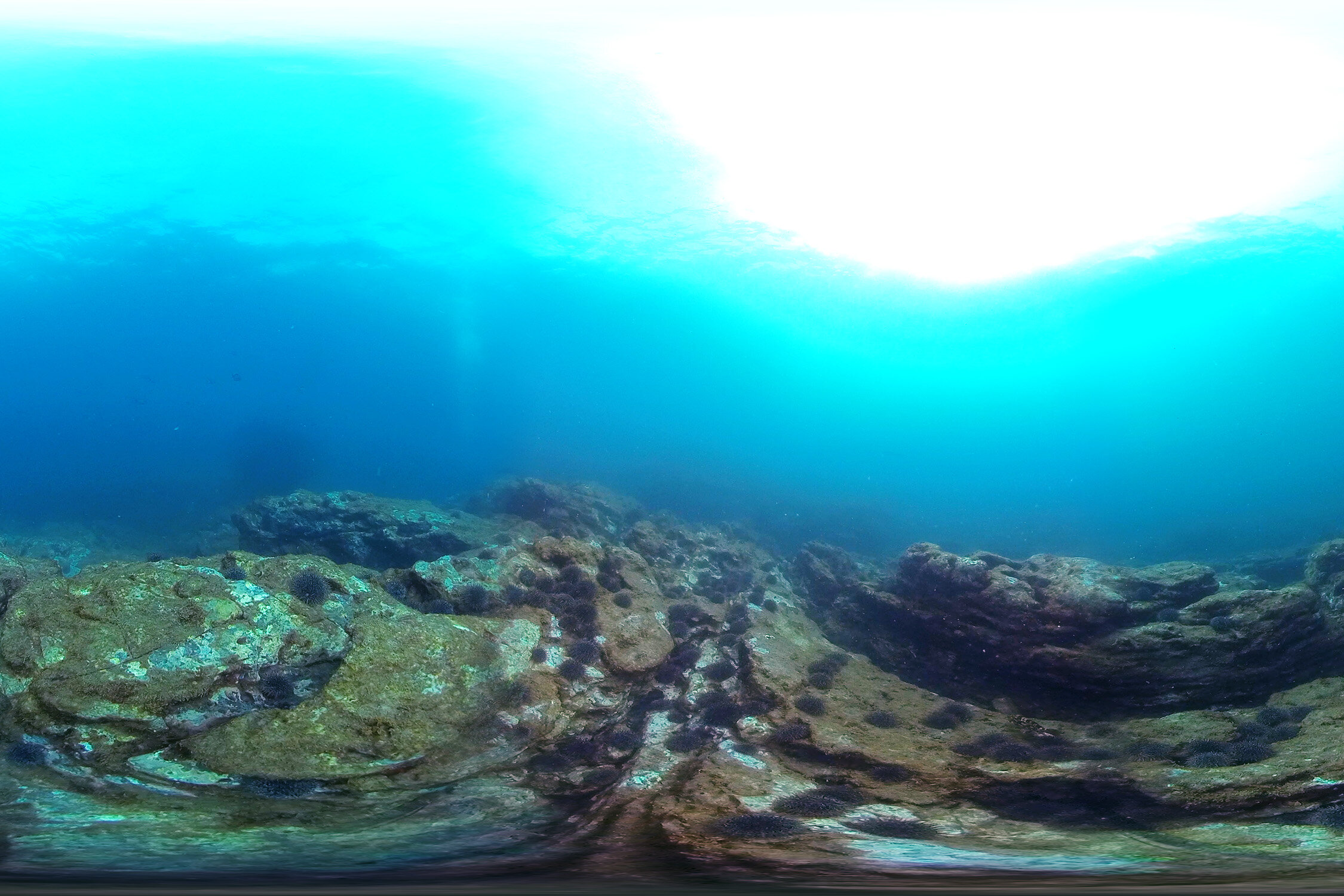 What’s going on with the reefs?