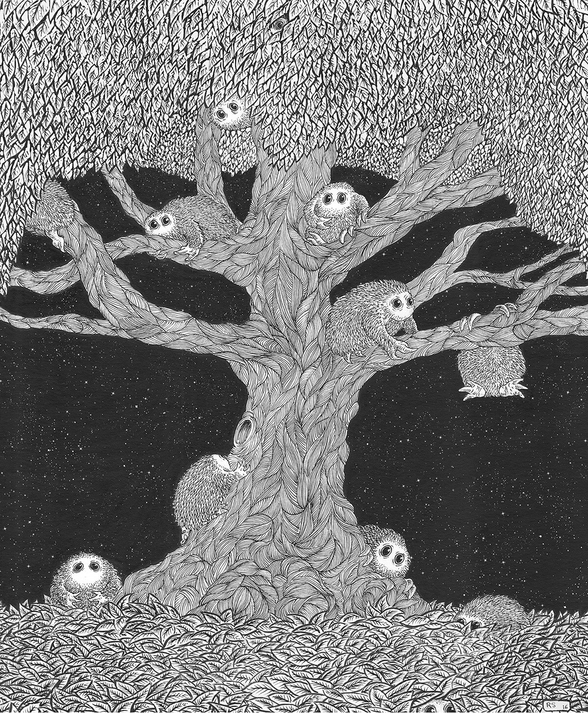 Night Critters