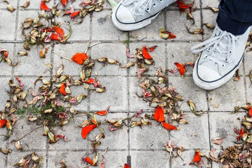 Trusting God Through Our Brokeness.