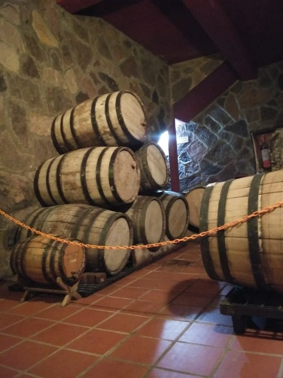 WhatsApp Image 2021-03-02 at 00.01.55.jpeg