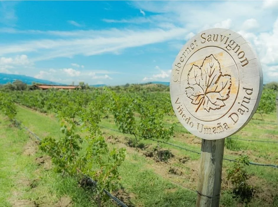 WhatsApp Image 2025-08-12 at 5.24.43 PM.jpeg