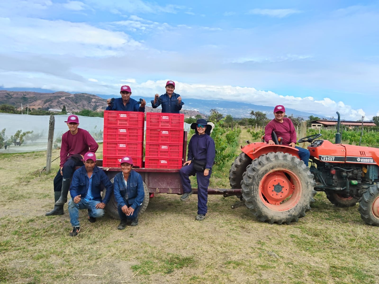 WhatsApp Image 2025-12-27 at 12.12.35 PM.jpeg