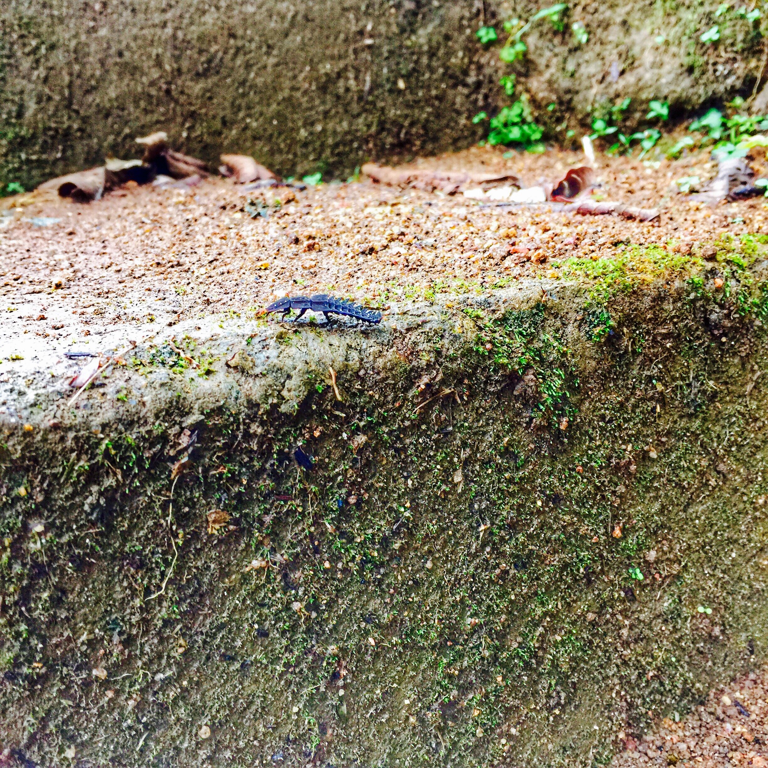 Kerala, India