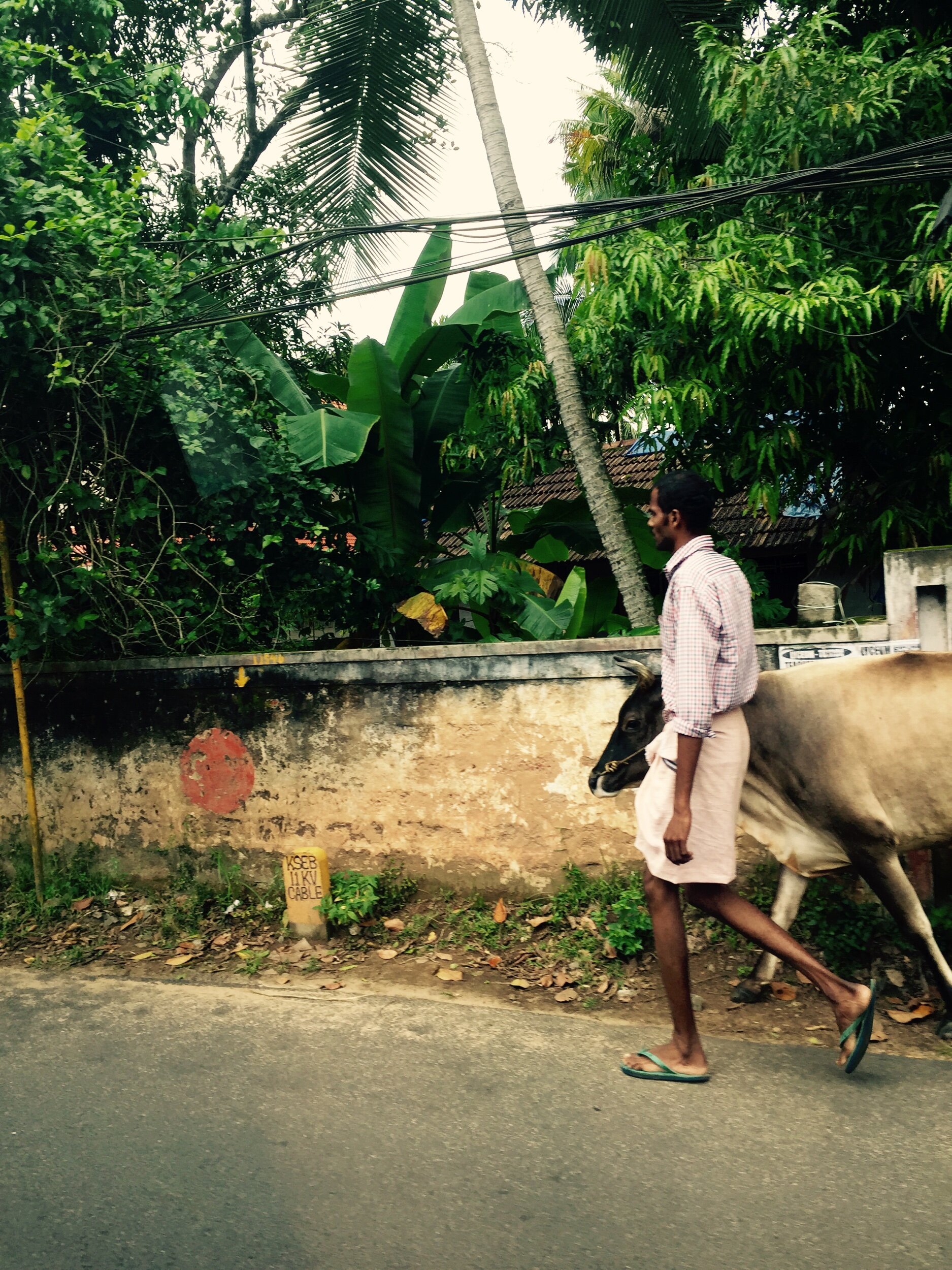 Kerala, India