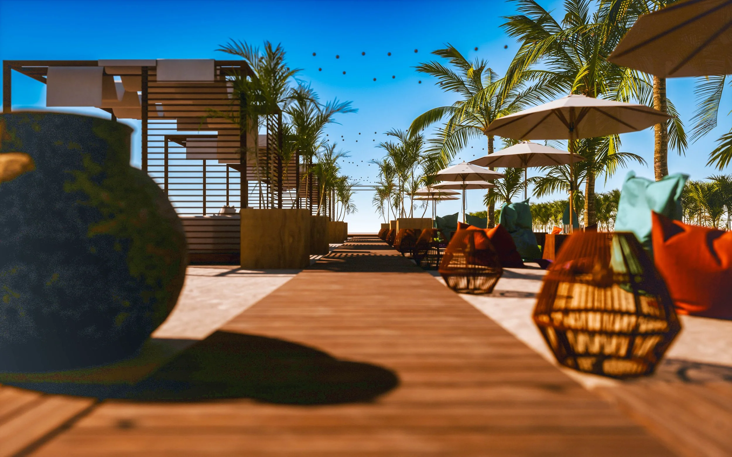 WINDIES CARBET2-.jpg