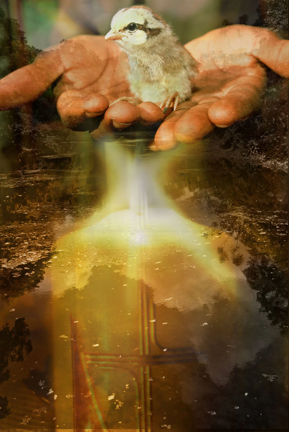 Bereavement/Sympathy Card 9