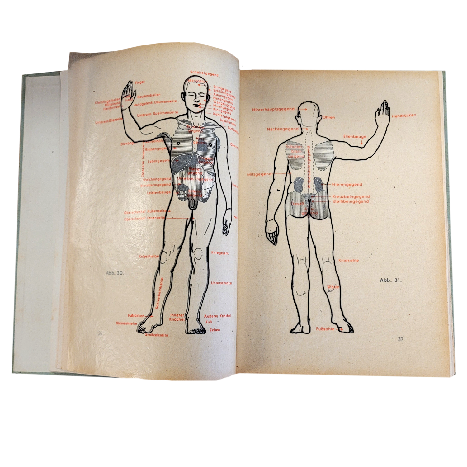 germanfirstaidbook3.png