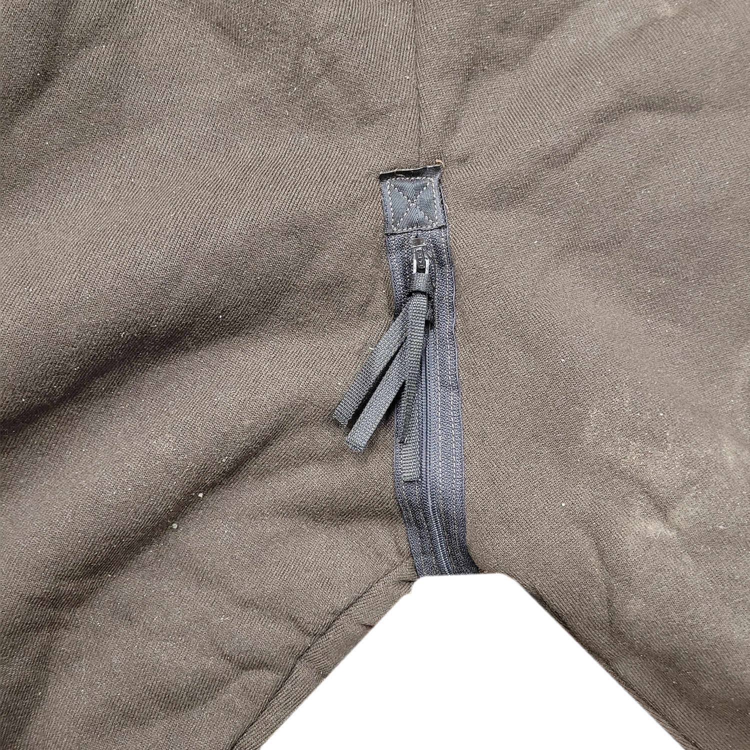 bearpants2.png