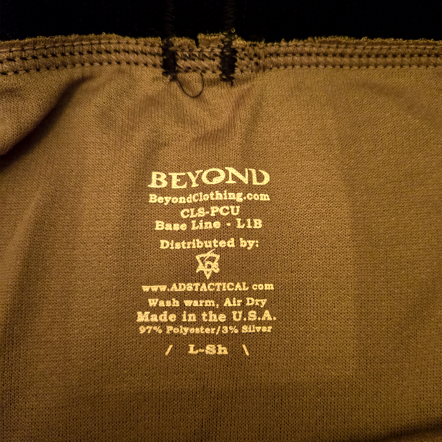 BeyondL1BBottom3.png