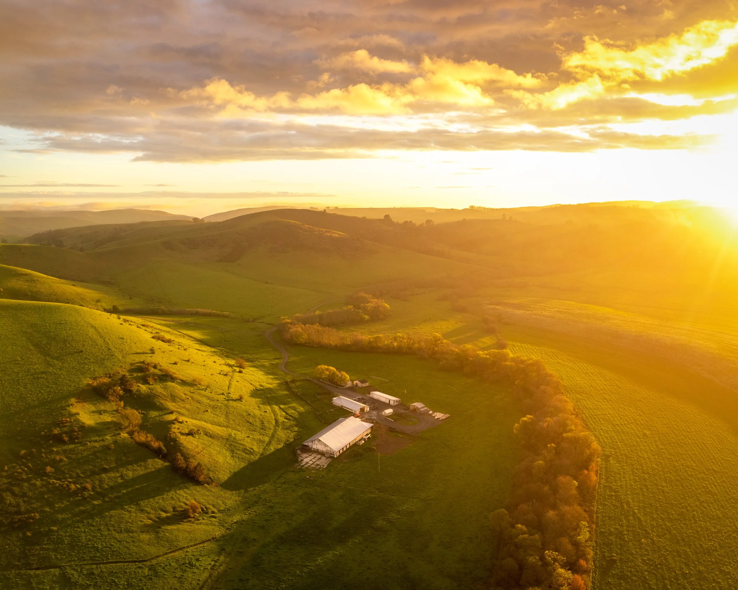 Aerial view of green rolling hills during sunset, with a farmstead and a few buildings in the valley and a dirt road winding through the landscape.