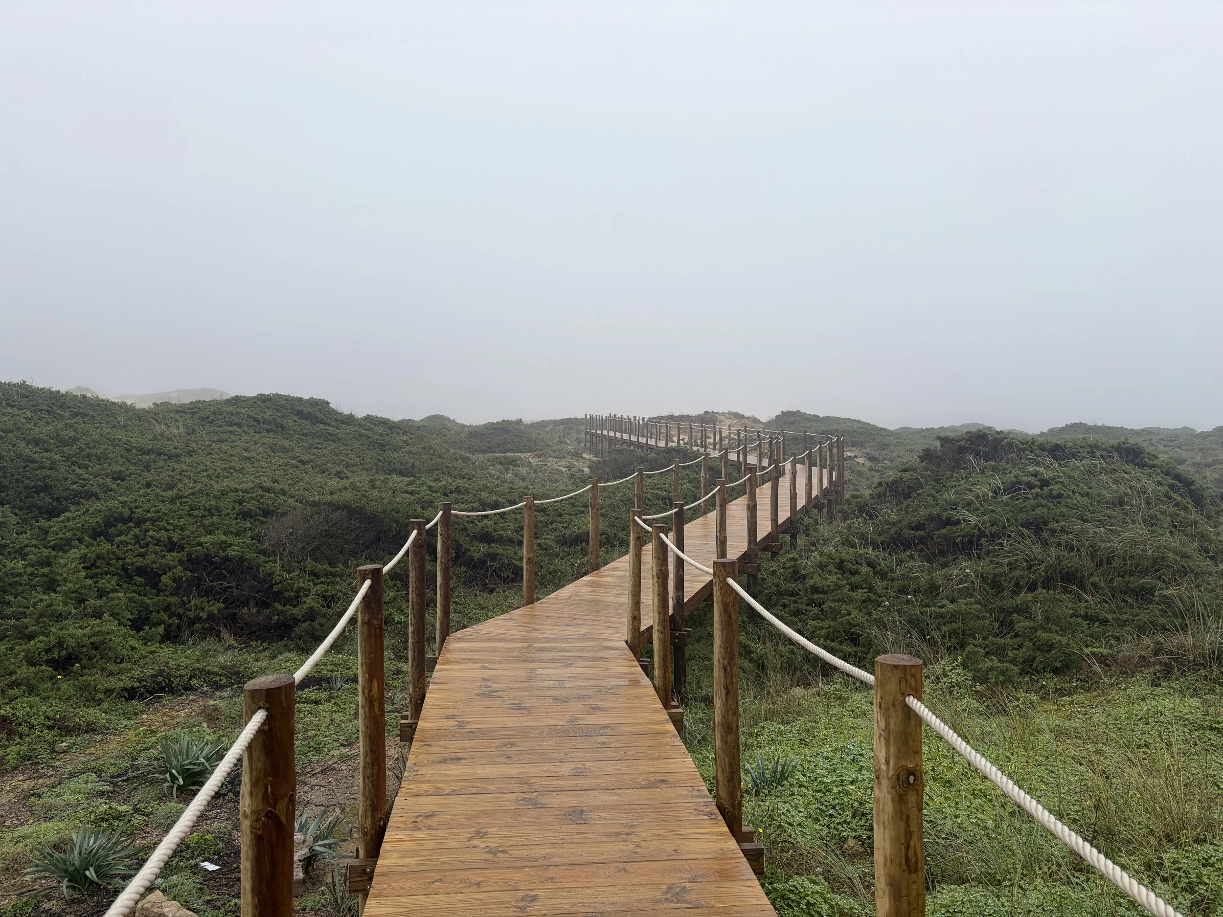 February is here. A rebirth is unfolding.