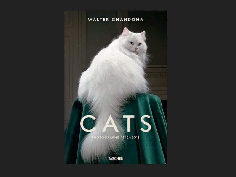 book+1.jpg