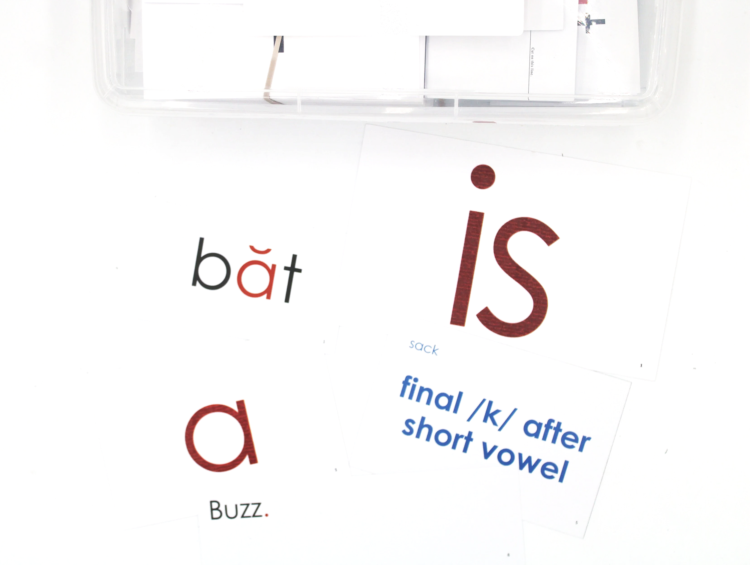 Connections OG in 3D Lesson Cards (Textured)