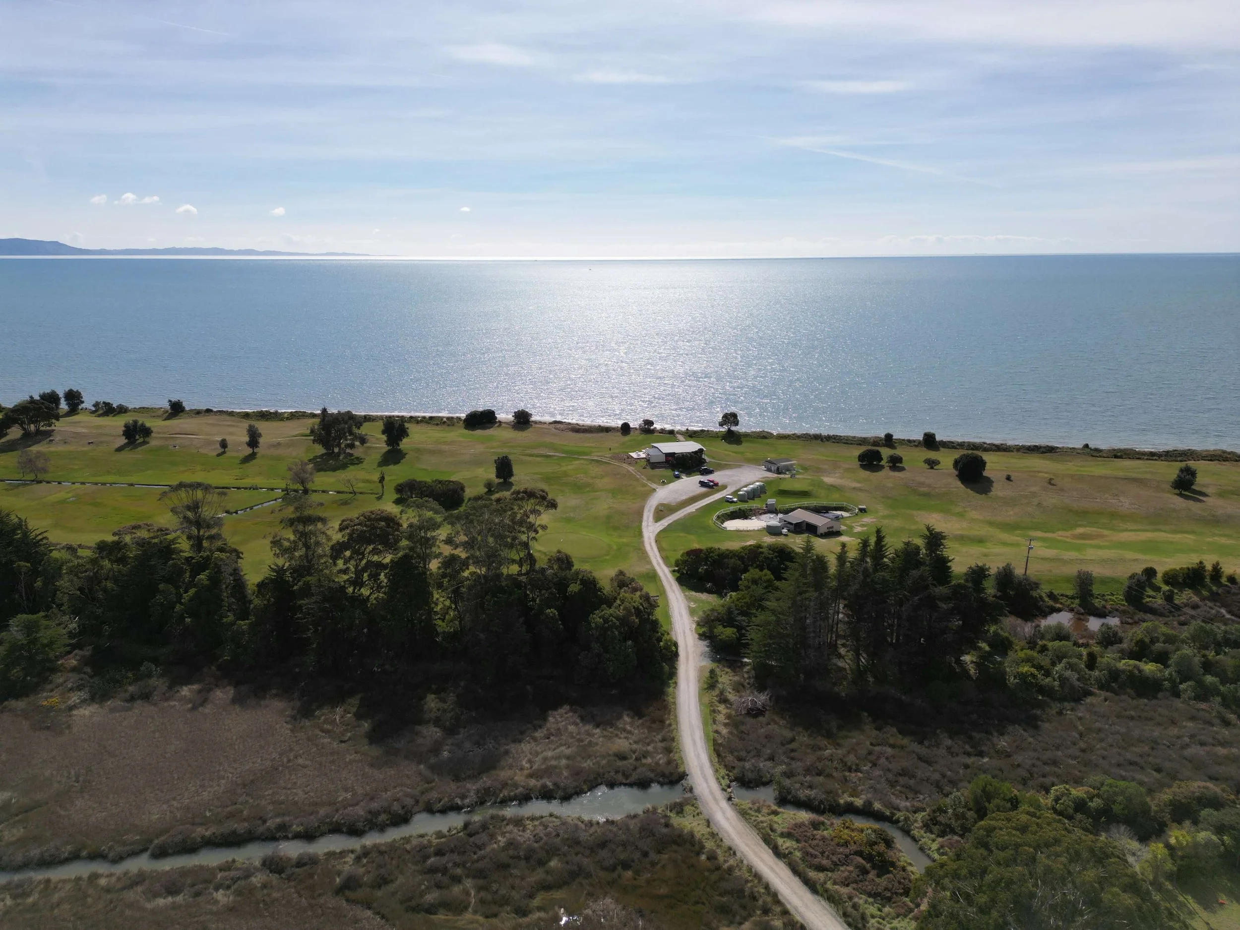 tgc_0190.JPG