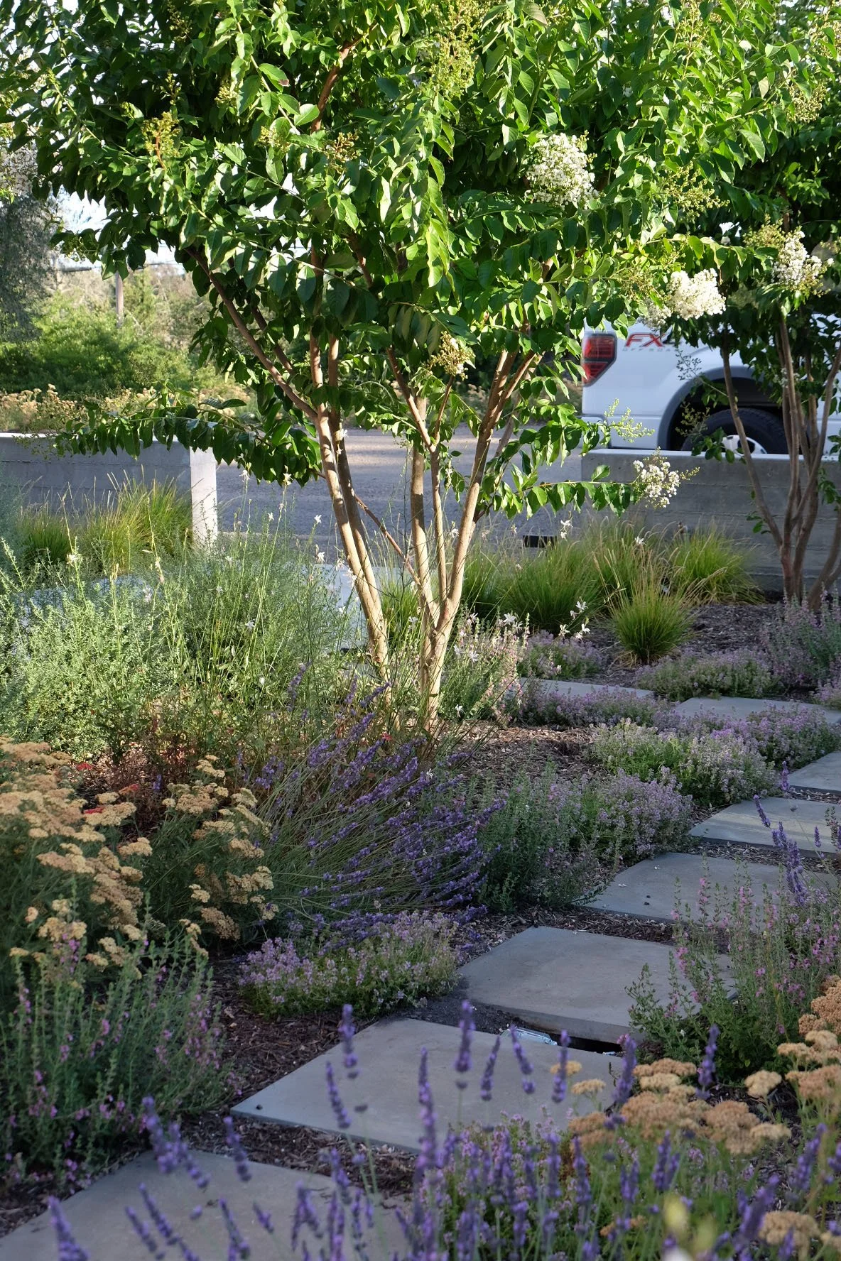 Vineyard View Garden — Alexis Woods Landscape Design