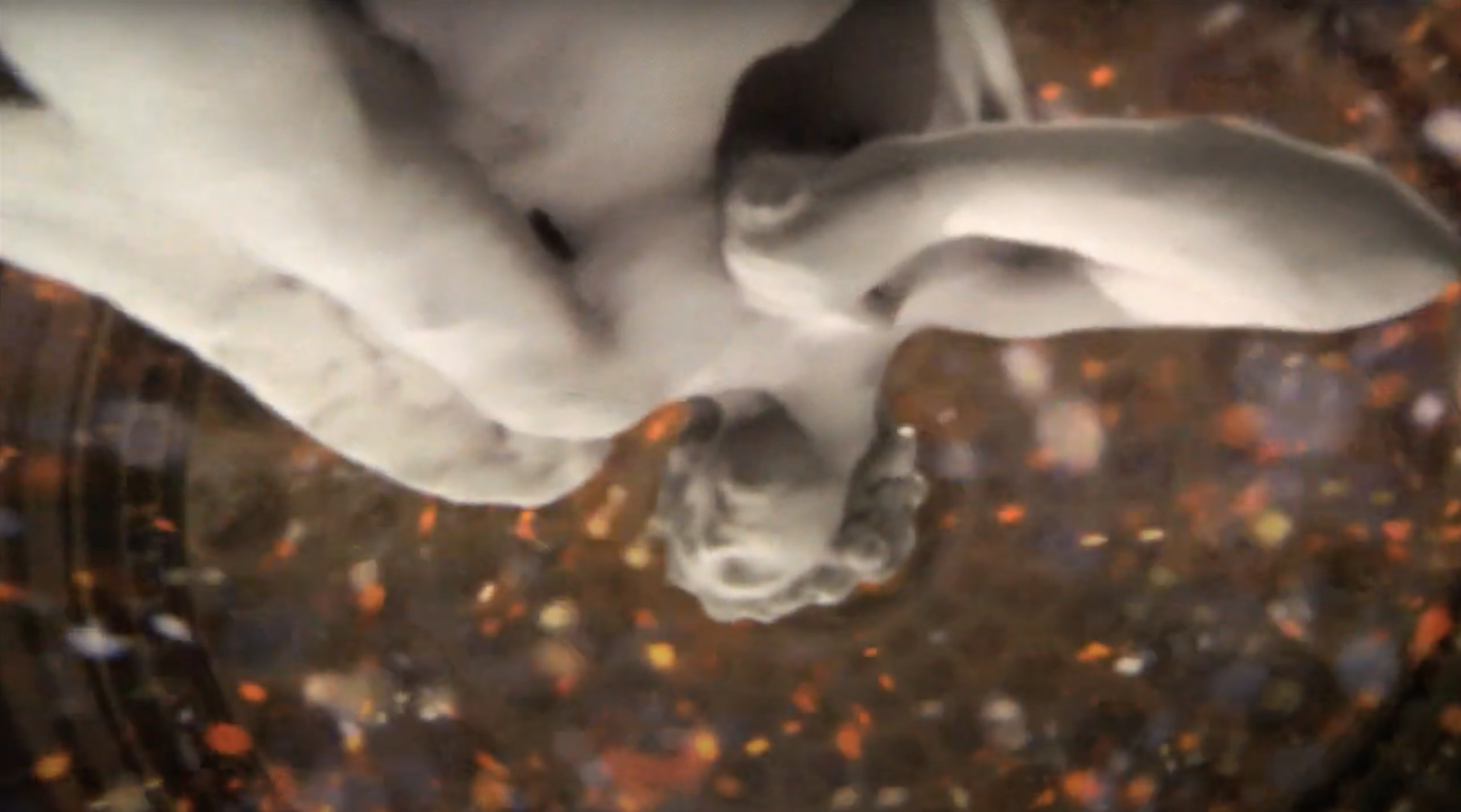 Screen Shot 2023-07-18 at 3.03.31 PM.png