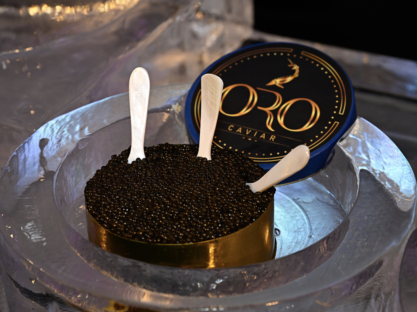 Screen Shot 2023-07-12 at 12.25.48 PM.png