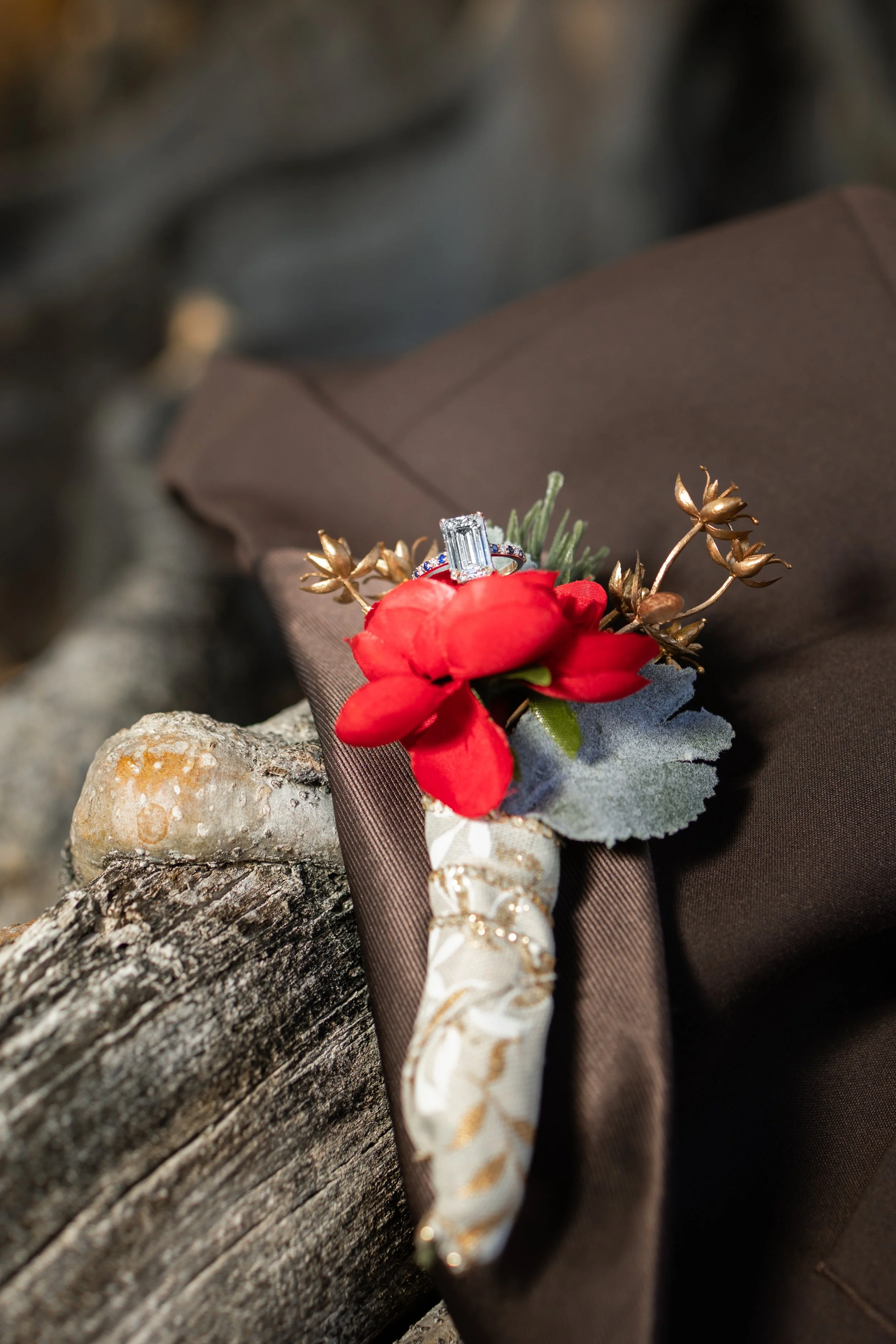 12 20 25 Lause Wedding-243.jpg