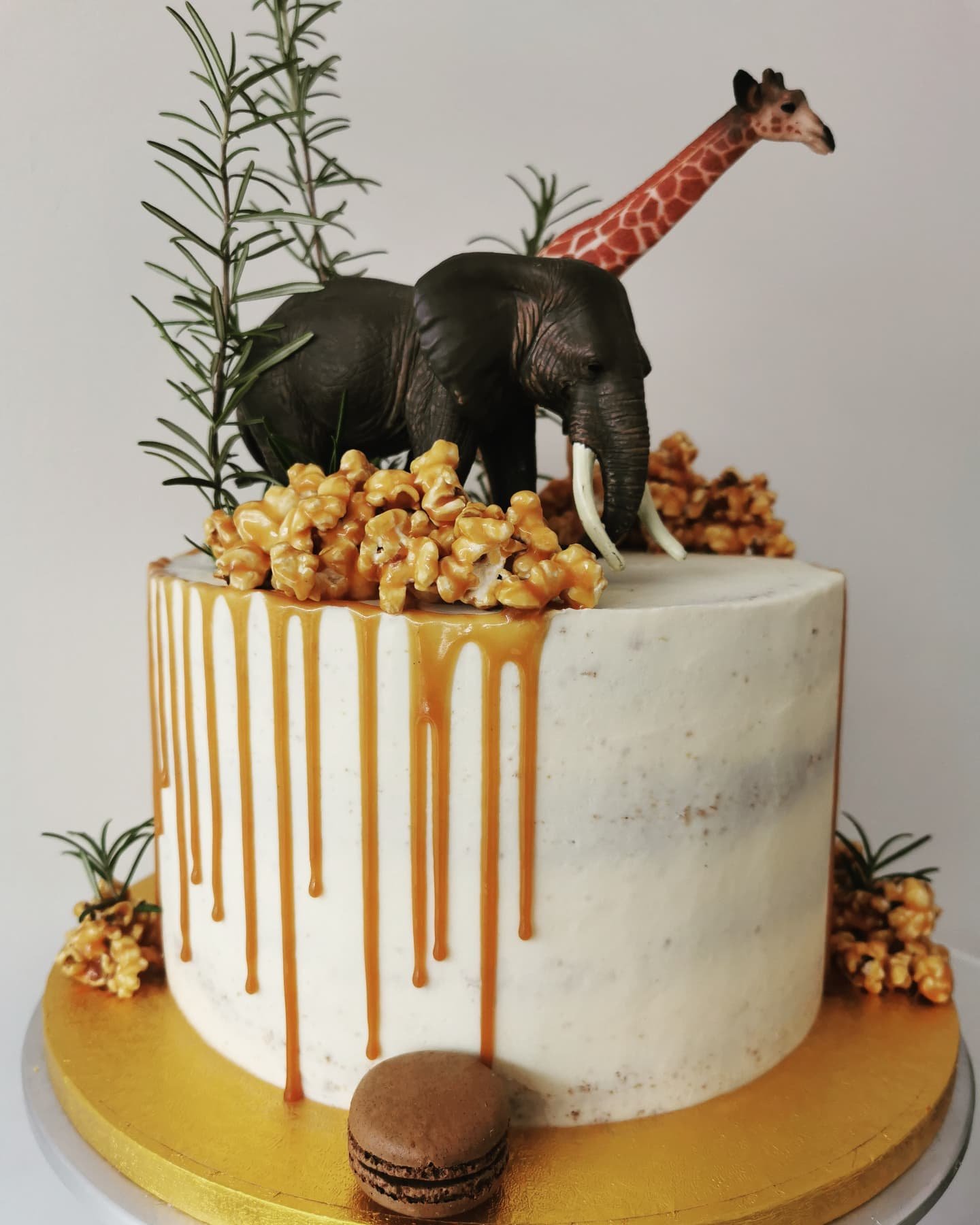 Zoo Birthday Cake, Fondant Sculptured - Picture of Taste & Sea Cakery,  Carlsbad - Tripadvisor