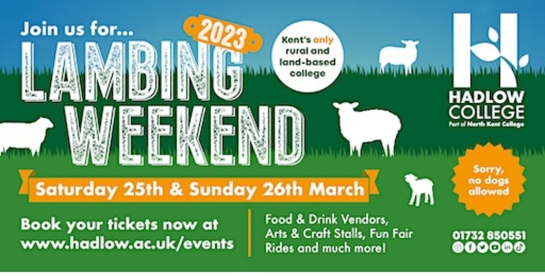 Hadlow Lambing Weekend