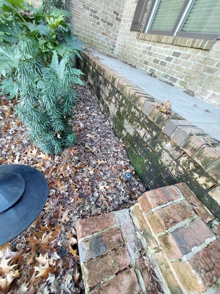 Dirty Patio