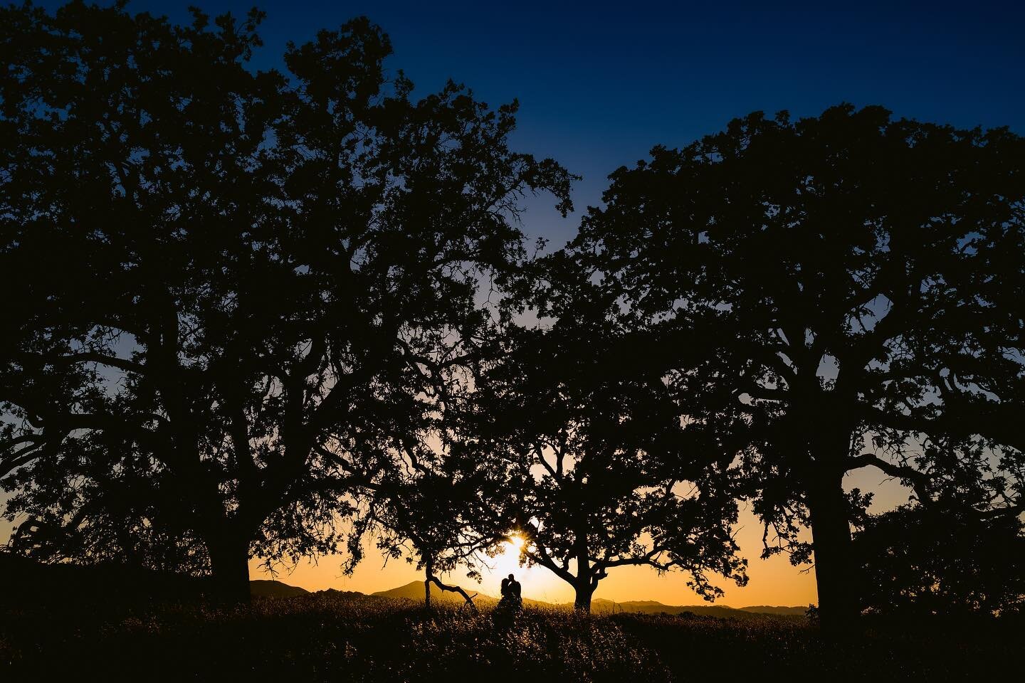 One of my favorite images of Stephan and Kara&rsquo;s wedding at The Grace Maralyn Estate. We had quite the adventure getting to this spot that included all of us hopping a &ldquo;locked&rdquo; fence and hiking up the hillside. It was quite impressiv