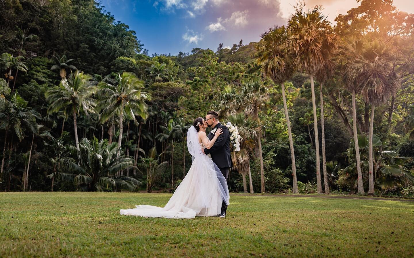 Tyler &amp; Mikayla&rsquo;s destination wedding in Hawaii was truly a beautiful day. Congratulations to these amazing lovebirds.