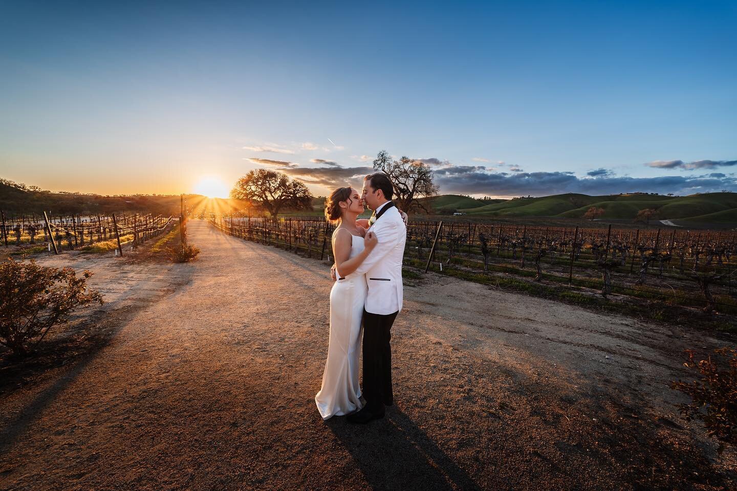 Capturing special moments on camera is always a privilege, but photographing weddings holds a special place in my heart. I recently had the pleasure of photographing a stunning wedding at Cass Winery in Paso Robles, California, and it was truly a mag