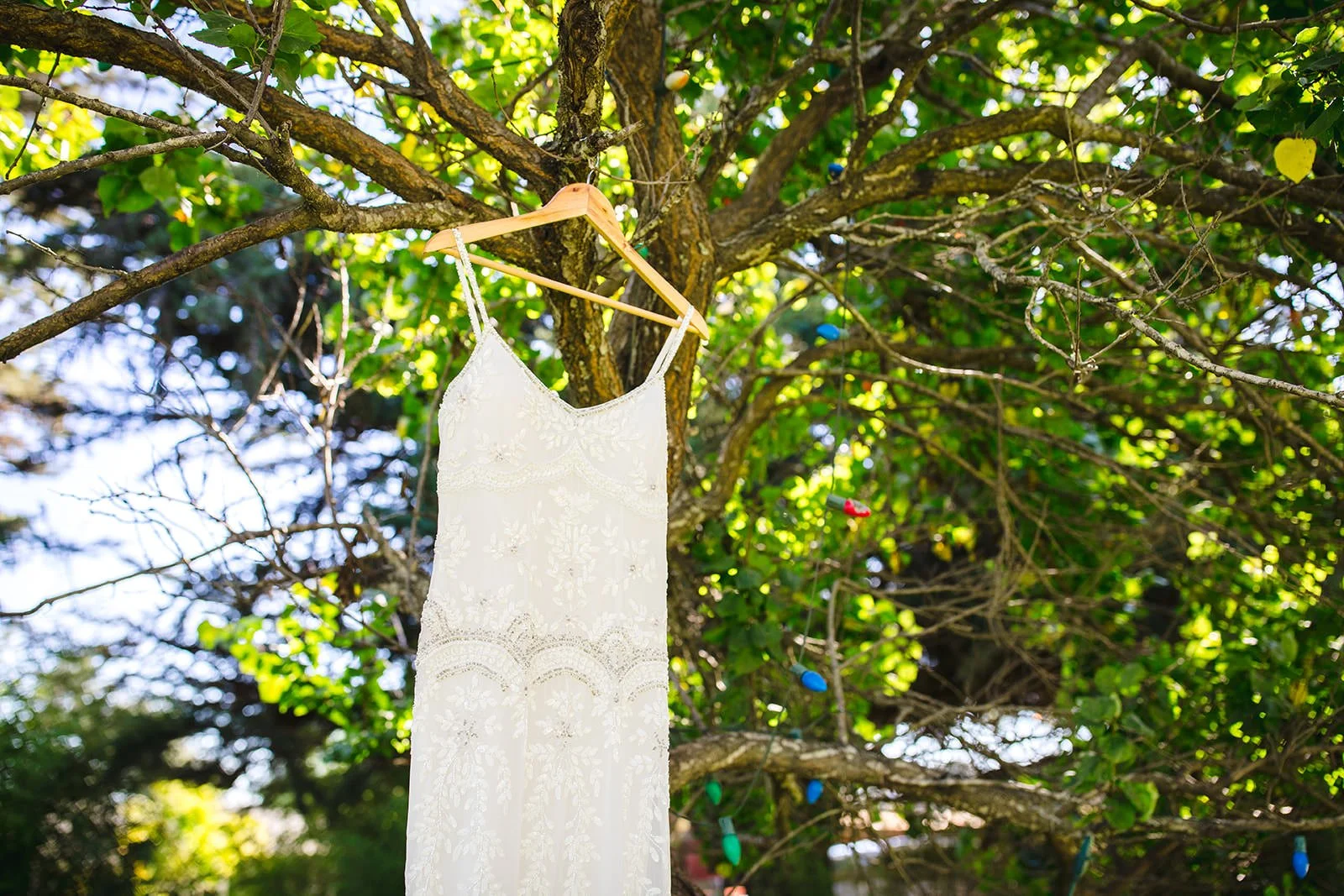 Beaded wedding dress hanging in a tree at Flying Caballos Ranch, San Luis Obispo wedding detail photography