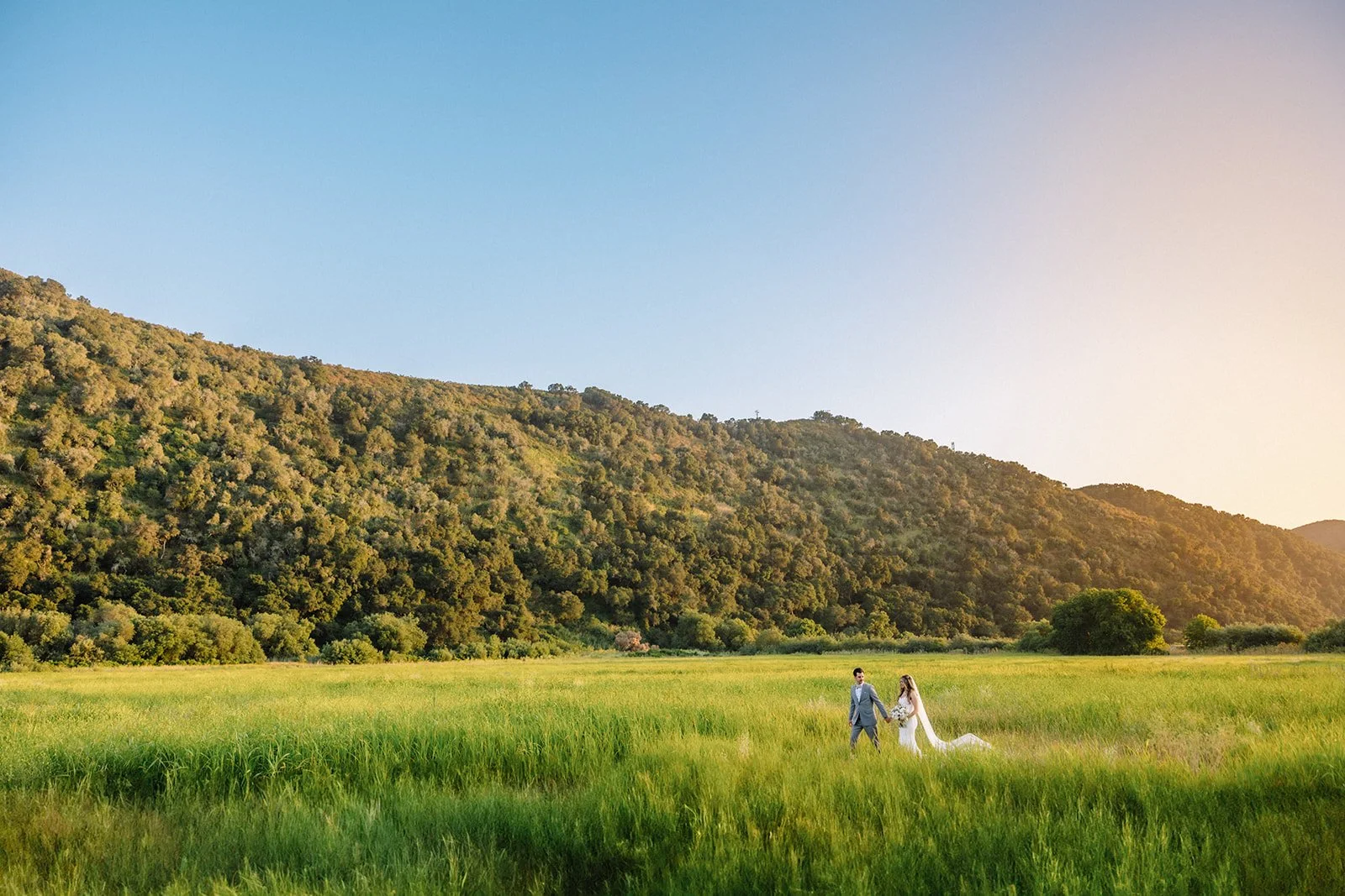 Bride and groom walking through a green meadow