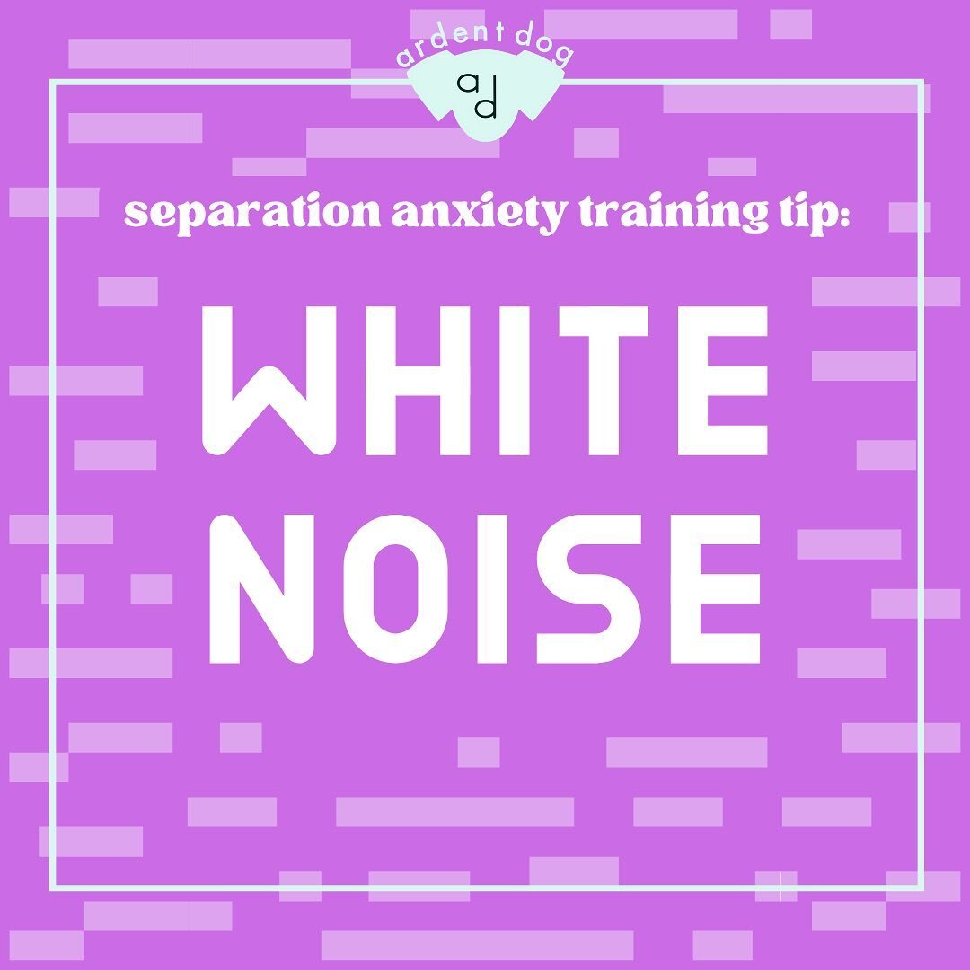 I highly recommend some type of white noise for my SA training clients! It helps drown out outside sounds for our dogs who are sound sensitive. White noise machines, fans, music, or tv are all great options! I personally put on a white noise machine 