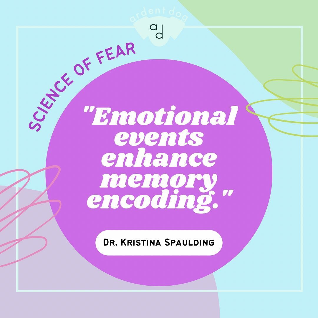 More insight from Dr. Kristina Spaulding (PhD in biopsychology &amp; Certified Applied Animal Behaviorist) in her Science of Fear course. 

&ldquo;Emotional events enhance memory encoding.&rdquo;

Having really strong memories around emotional events
