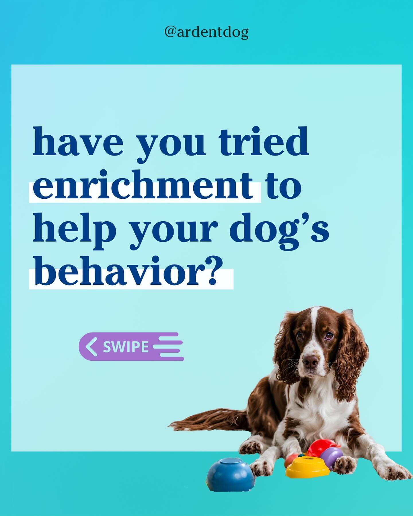 Enrichment impacts behaviors! 

Enrichment:
&bull;	Reduces anxiety
&bull;	Improves memory &amp; learning ability
&bull;	Provides natural-stress relief by releasing endorphins
&bull;	Provides outlets for instinctual behaviors

When working on 