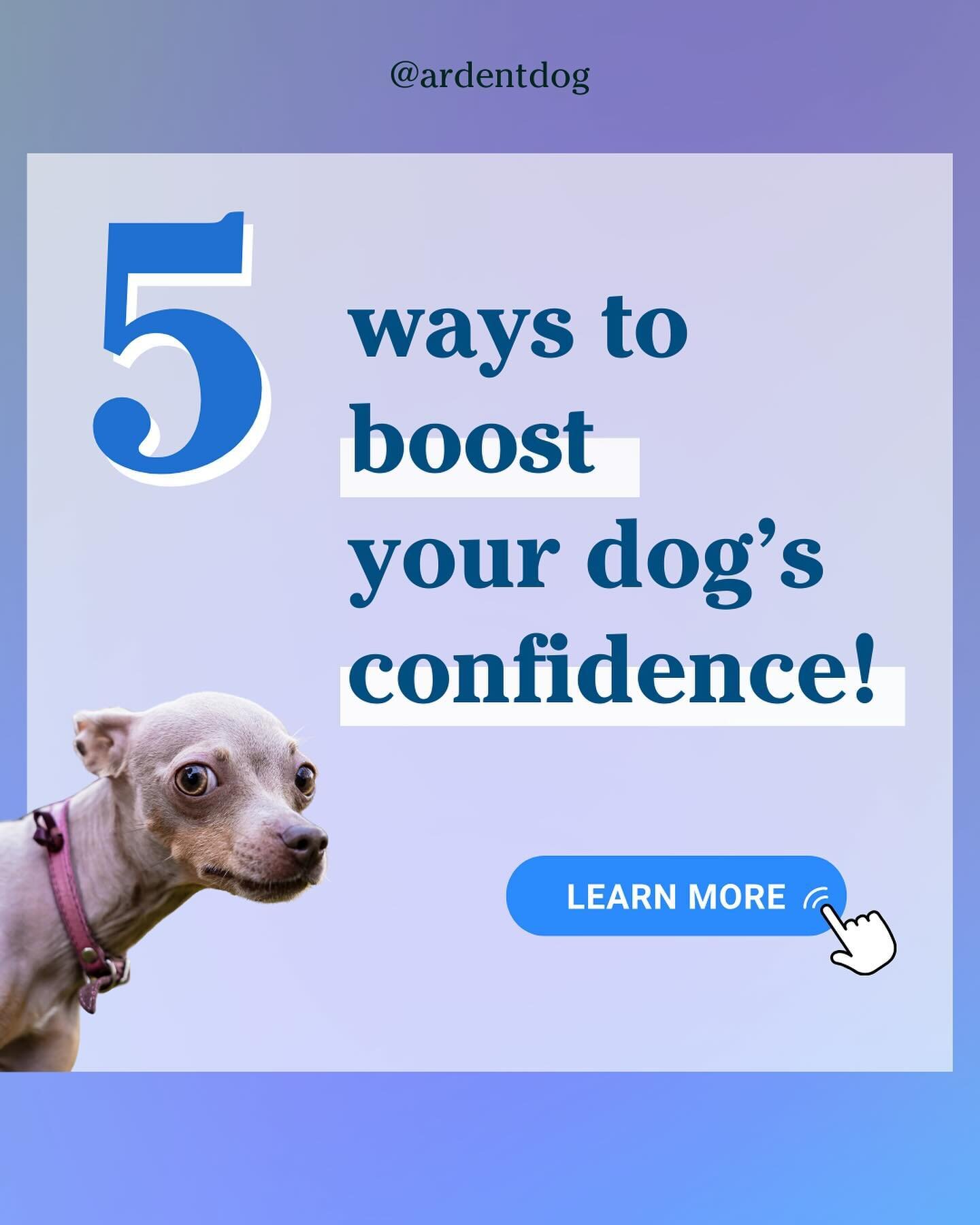 Do you have a shy pup? Use pattern games to boost your dog&rsquo;s confidence! 

Pattern games are an effective tool to build confidence because they create a predictable and structured environment for your dog to learn and interact. Here are 5 way