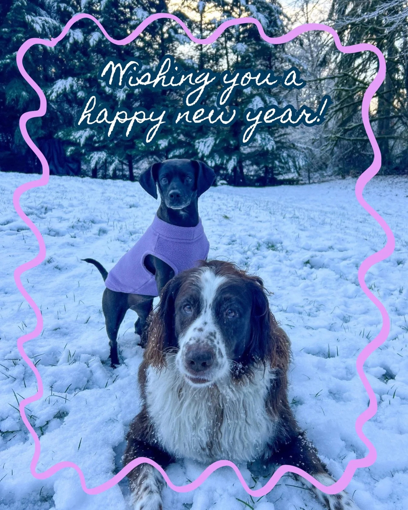 Wishing everyone a happy and healthy new year 🌙✨ #happynewyear #newyearpups #dogtraining #positivedogtraining