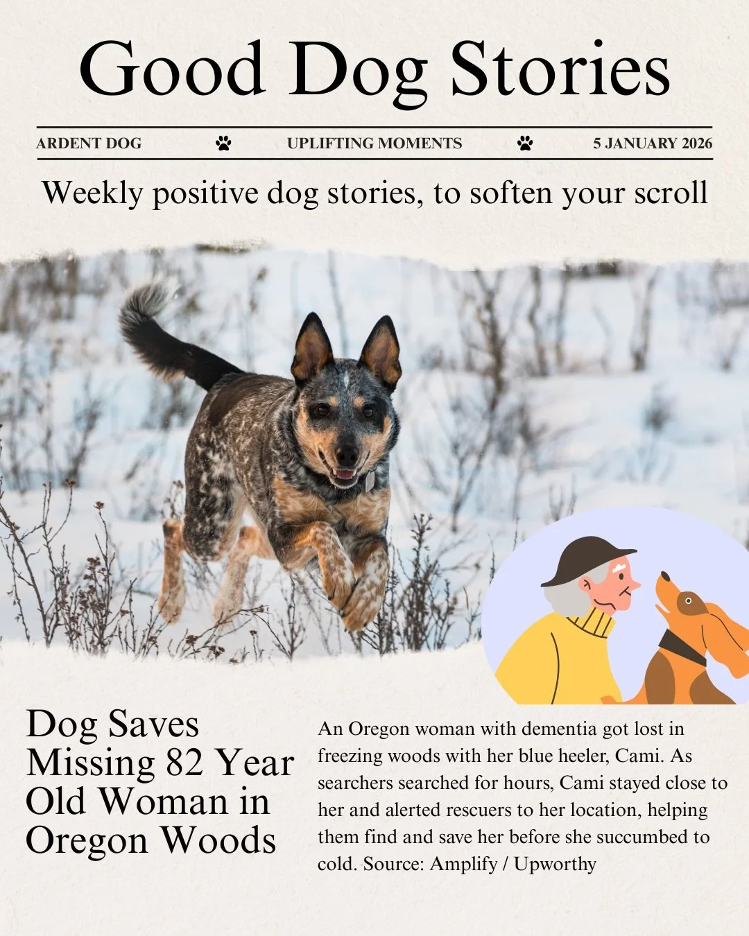 Good Dog Stories 🐾

There&rsquo;s a lot of heavy news out there, and lately I&rsquo;ve found myself needing reminders of the good things that are still happening. This is a small weekly collection of dog stories that felt heartwarming and worth sh