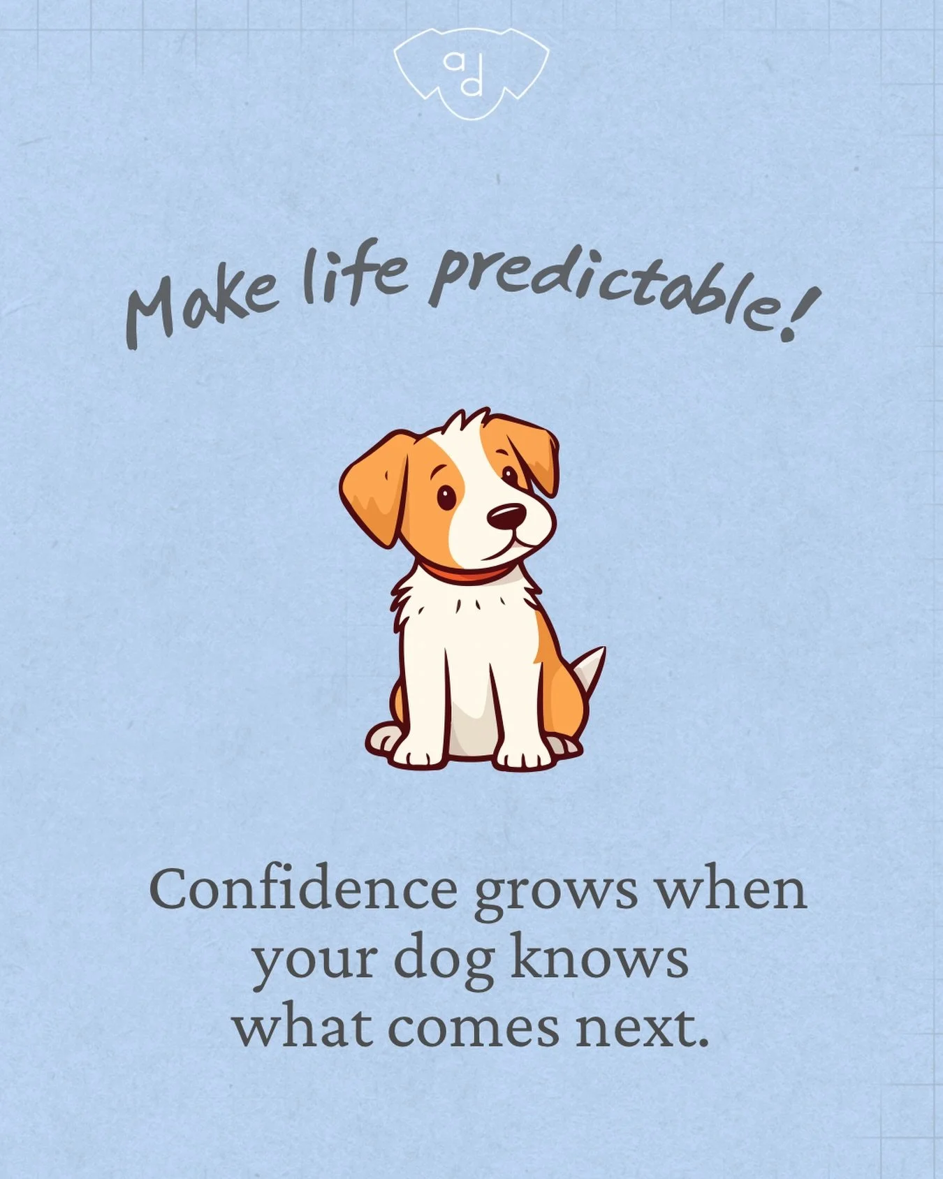 Your dog is not being difficult. They are unsure. 

Predictability builds safety and safety builds confidence.

Help your dog by creating predictable patterns in a world that can feel scary. 

#dogtraining #positivedogtraining #anxiousdogs #ardentdog