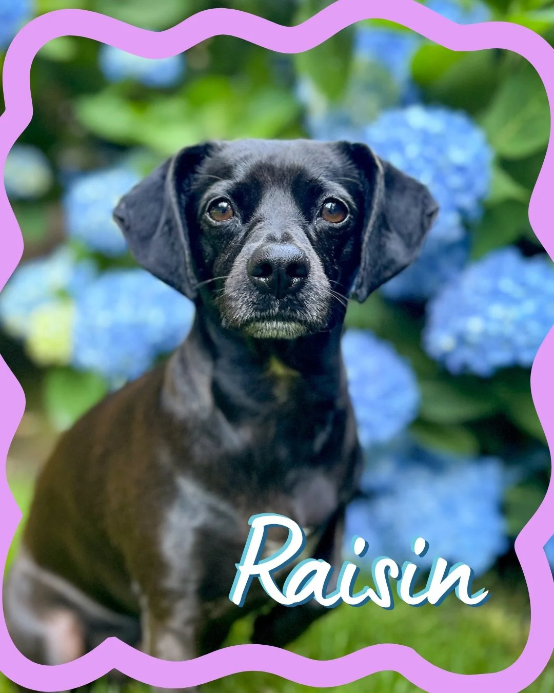 My sweet little gal 💜