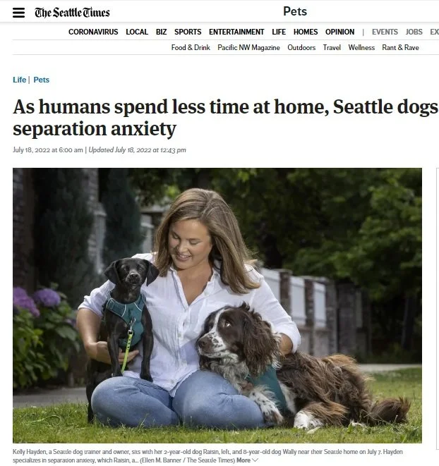 Ardent Dog Training