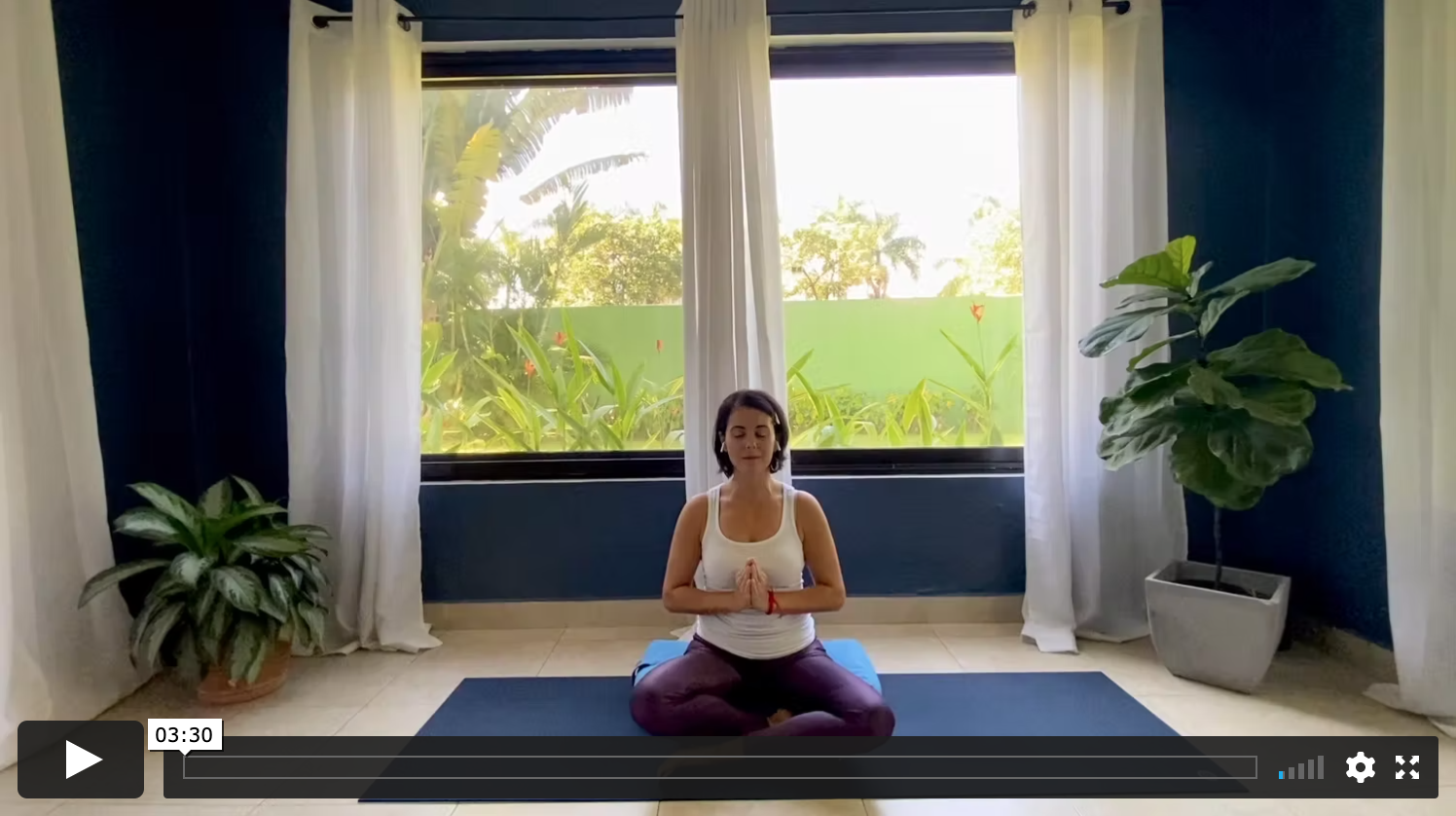 Mudra Magic: Anjali/Namaskara Mudra