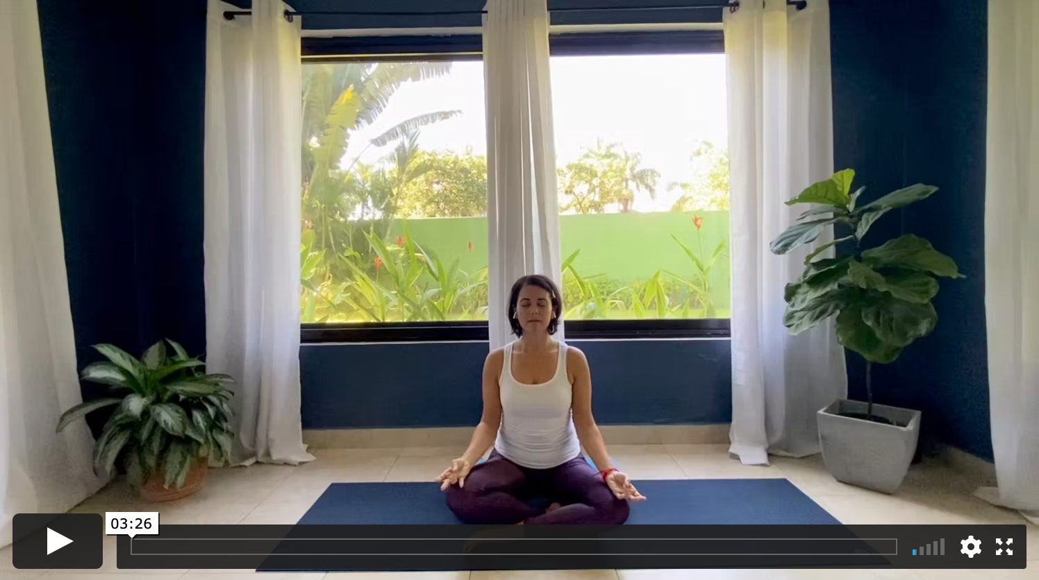 Mudra Magic Surya Mudra