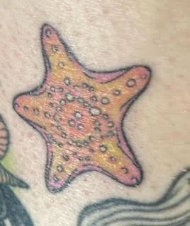 Starfish .jpeg