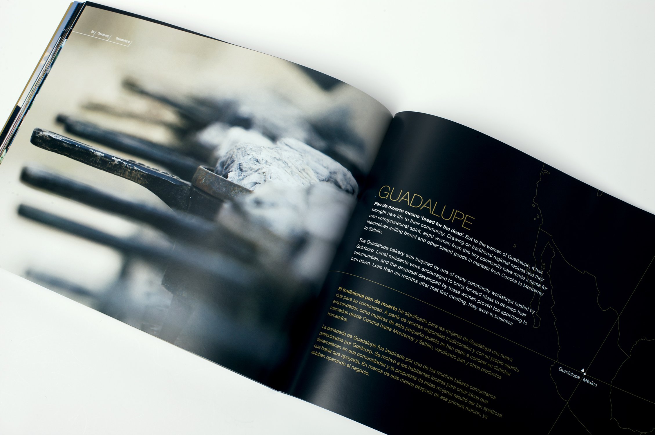 KMDP-Goldcorp-Book7.jpg